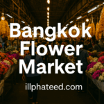 ChatGPT-Image-May-23-2025-12_14_33-PM.png